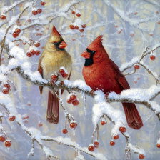 Схема вышивки «птицы»