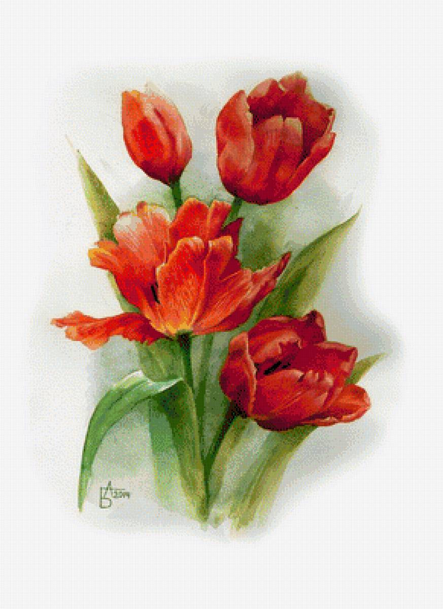 тюльпаны - цветы, весна, тюльпаны - предпросмотр