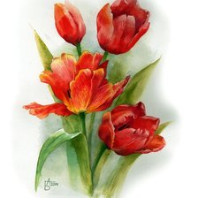 Схема вышивки «тюльпаны»