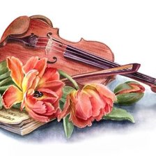 Схема вышивки «husle,tulipány»