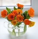 Схема вышивки «ноготки»