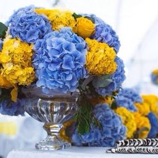 Схема вышивки «Гортензия»