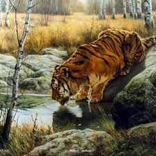 Схема вышивки «киса»