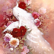 Схема вышивки «белые павлины»