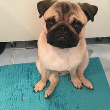 Схема вышивки «Гаврюша»