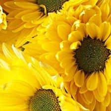 Схема вышивки «№1559208»