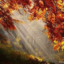 Схема вышивки «лучи»