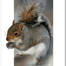 Схема вышивки «№1559597»