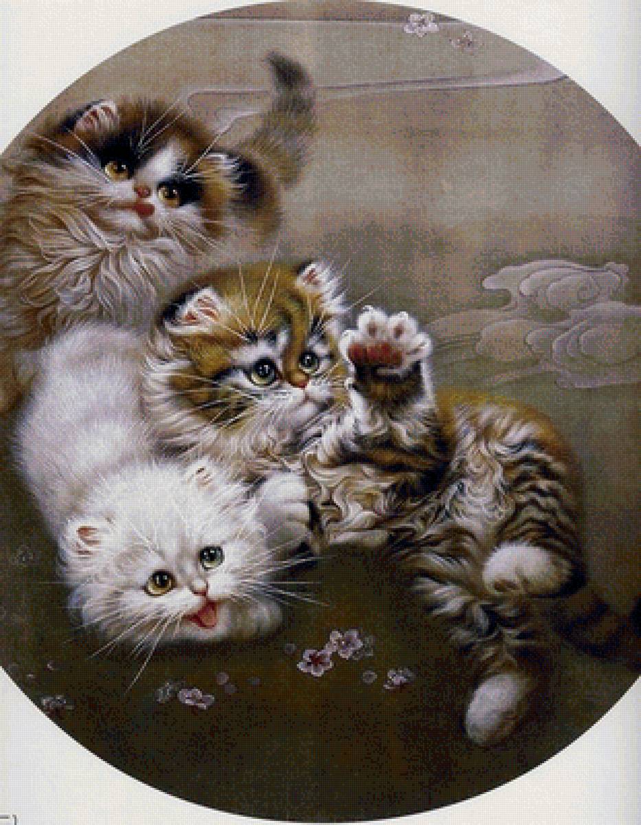 Котята - животные - предпросмотр