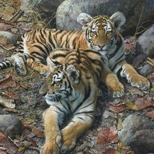 Схема вышивки «Тигры»