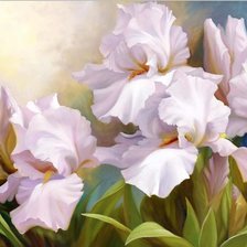 Схема вышивки «ирисы-4»