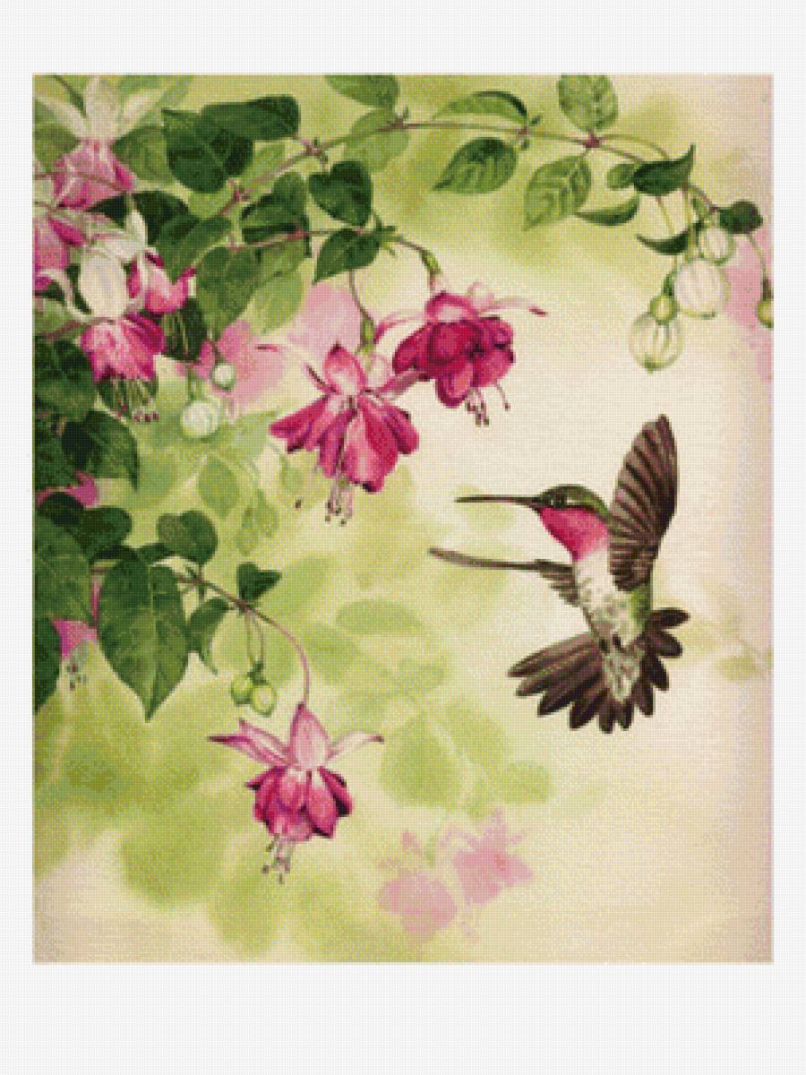 фуксия-1 - предпросмотр