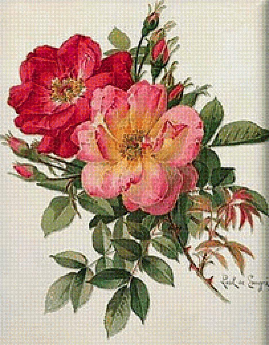 Розы - вышивка крестом - предпросмотр