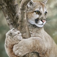 Схема вышивки «Котёнок»