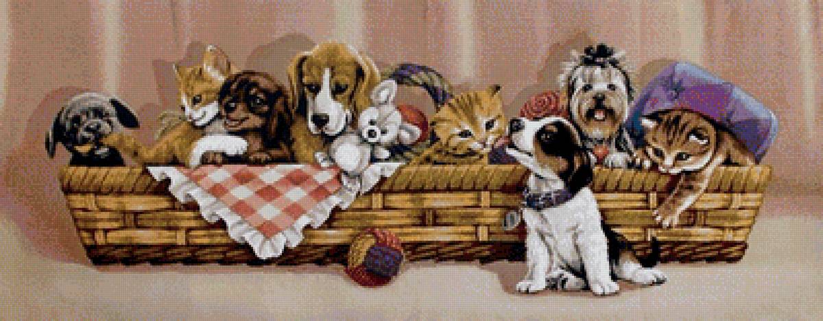 Компания пушистых и усатых - котята, щенки, домашние животные - предпросмотр