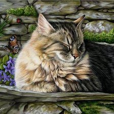 Схема вышивки «хаед кот»