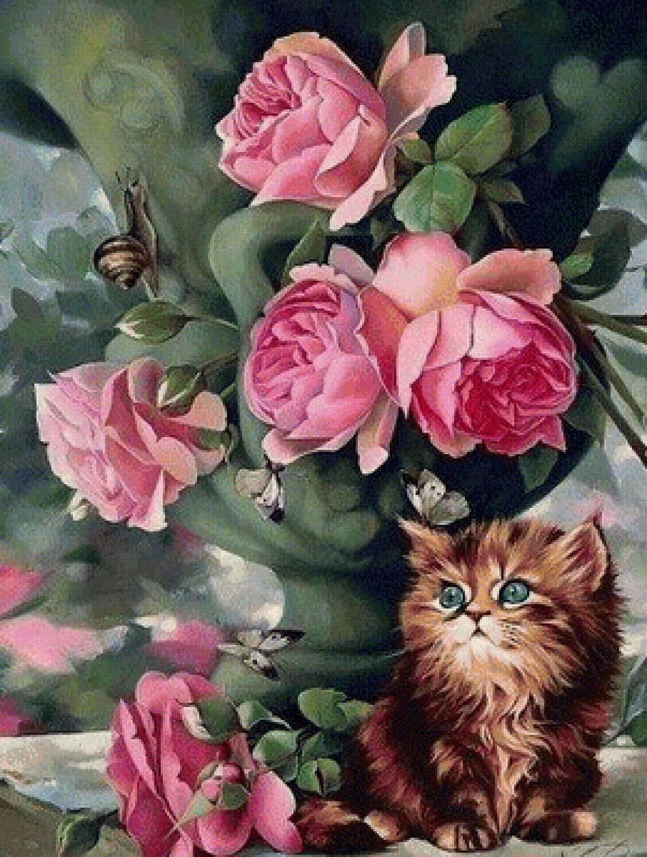 Котенок - природа, розы, кошки, цветы - предпросмотр