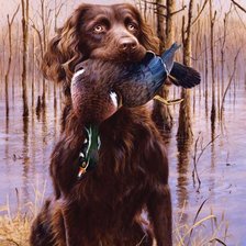 Схема вышивки «Caçada»