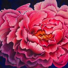 Схема вышивки «розовое чудо»