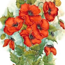 Схема вышивки «Маки»