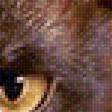 Предпросмотр схемы вышивки «кошка бирма» (№1563997)