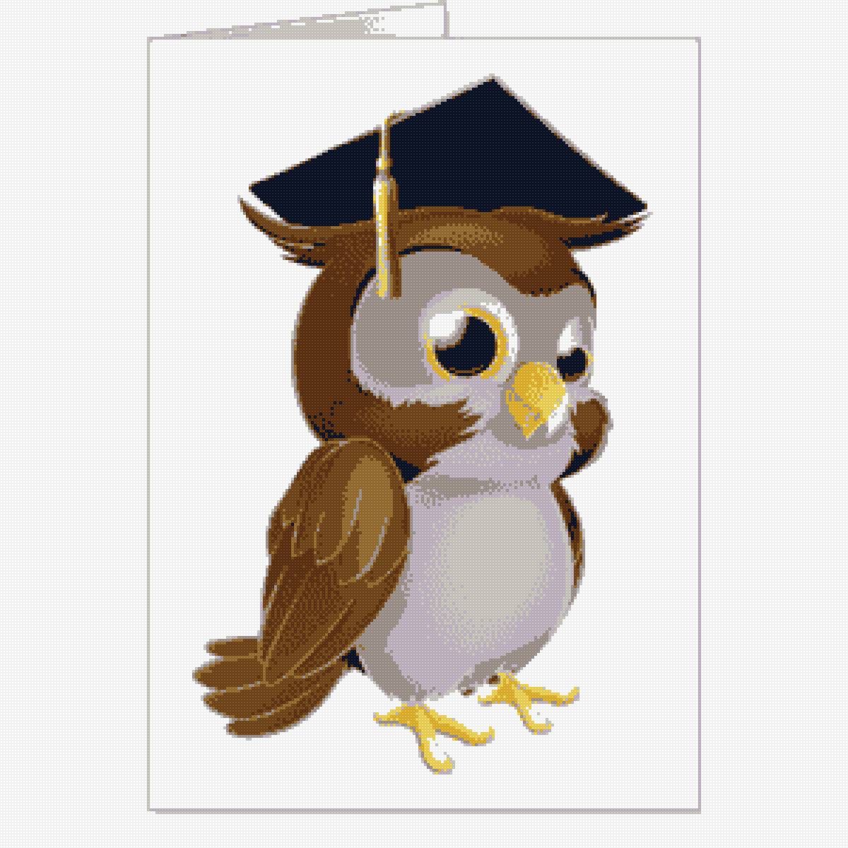 умная сова - птица, знания, сова - предпросмотр