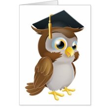 Схема вышивки «умная сова»