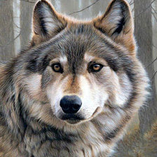 Схема вышивки «№1564477»