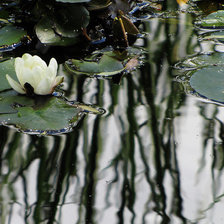 Схема вышивки «ПЕЙЗАЖ»