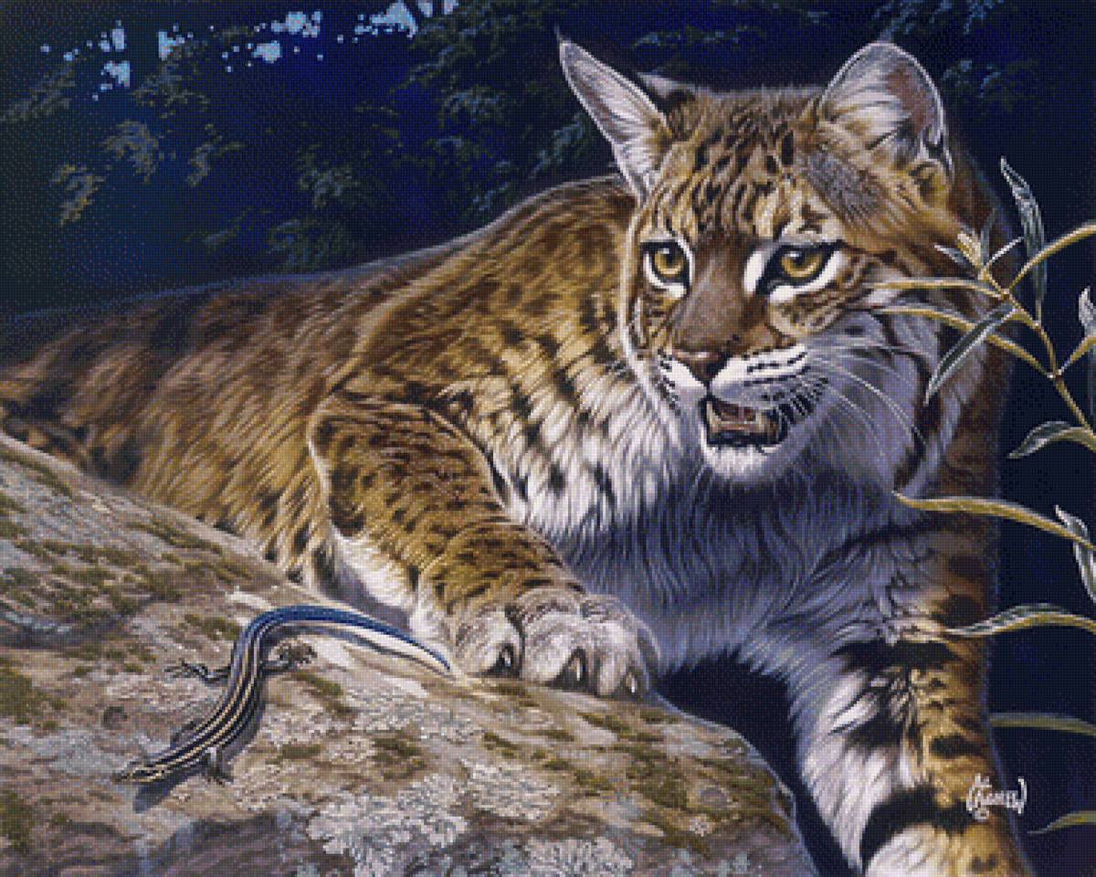 дикая кошка - леопард, животные, кошка - предпросмотр