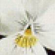 Предпросмотр схемы вышивки «Анютины глазки» (№1565547)