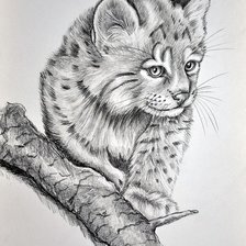 Схема вышивки «№1566065»