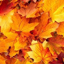 Схема вышивки «осень»