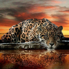 Схема вышивки «lampart»