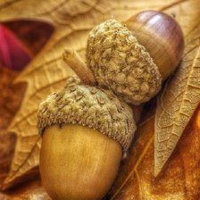 Схема вышивки «желуди»