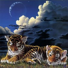 Схема вышивки «Тигрята»