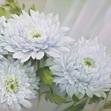 Схема вышивки «№1567035»