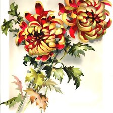 Схема вышивки «№1567231»