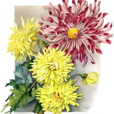 Схема вышивки «№1567504»