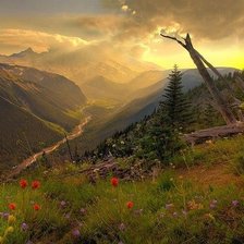 Схема вышивки «природа»