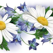 Схема вышивки «Ромашки и колокольчики»