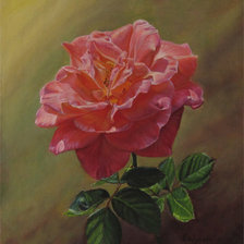 Схема вышивки «№1568605»