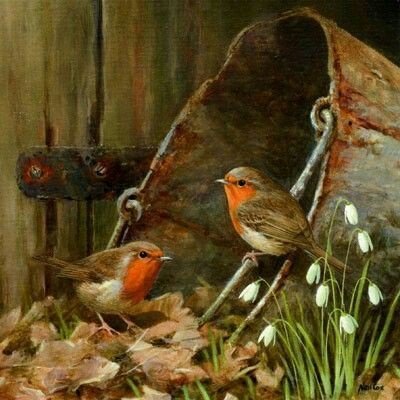 Pajaritos - pajaros - оригинал