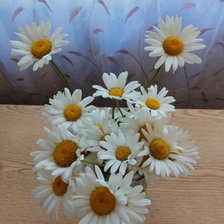 Схема вышивки «Ромашки»