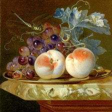 Схема вышивки «№1569312»