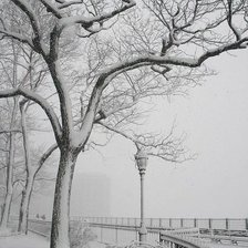 Схема вышивки «№1569348»