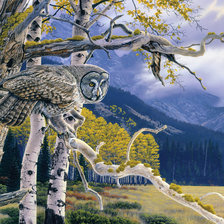 Схема вышивки «Сова»