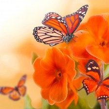 Схема вышивки «Цветыибабочка»