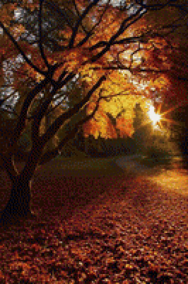 Осень - деревья, закат, лес, осень, пейзаж - предпросмотр