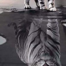 Схема вышивки «Киса»